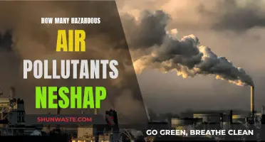 Hazardous Air Pollutants: Neshap's Strict Standards and Limits