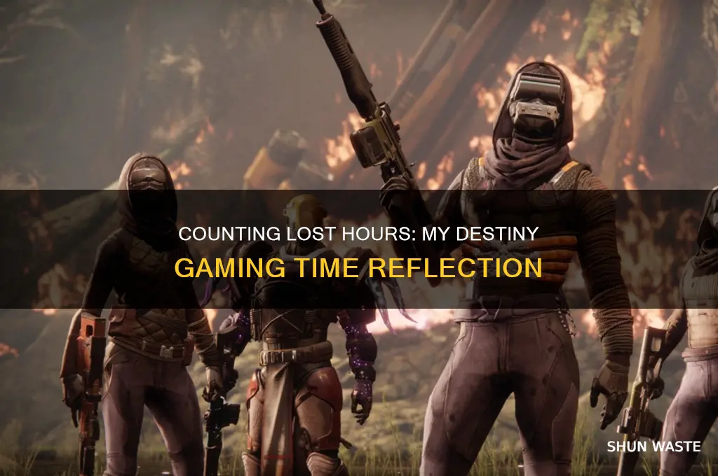 how many hours did i waste in destiny