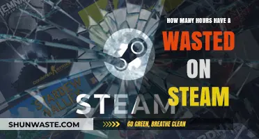 Counting Lost Hours: My Steam Gaming Time Reflection