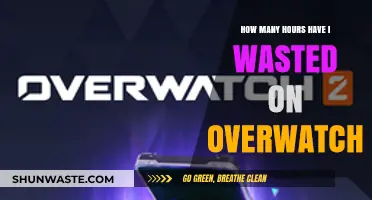 Calculating My Time Investment: Reflecting on Hours Spent Playing Overwatch