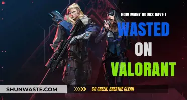 Valorant Time Sink: Reflecting on Hours Invested in the Game