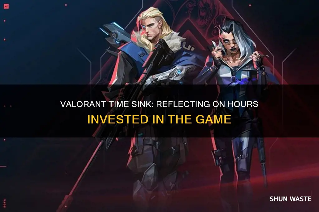 how many hours have i wasted on valorant