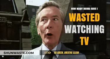 The Hidden Cost of TV: Reflecting on Wasted Hours