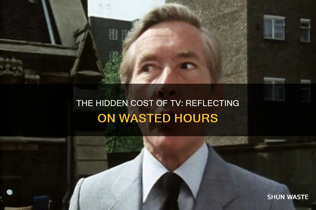 how many hours have i wasted watching tv