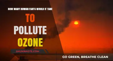 Farts and the Ozone: A Dangerous Combination?