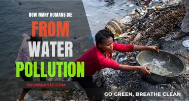 The Silent Killer: Water Pollution's Devastating Impact on Human Lives