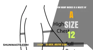 Understanding the Waist Measurement of a Size 12 in Inches