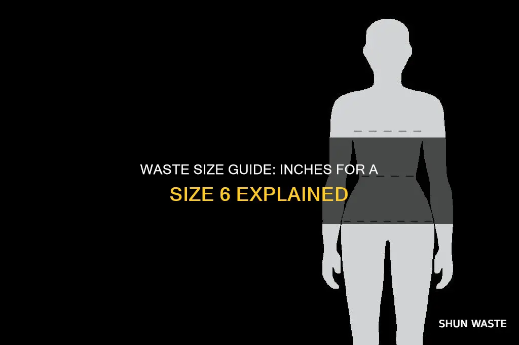 how many inches is my waste i wear a 6