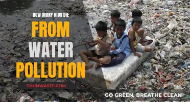 Global Water Crisis: The Hidden Threat to Children's Lives