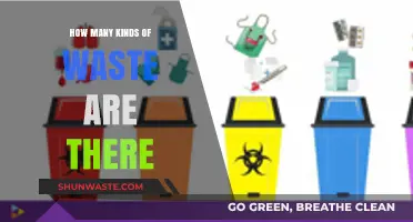 Exploring the Diverse Types of Waste and Their Categories