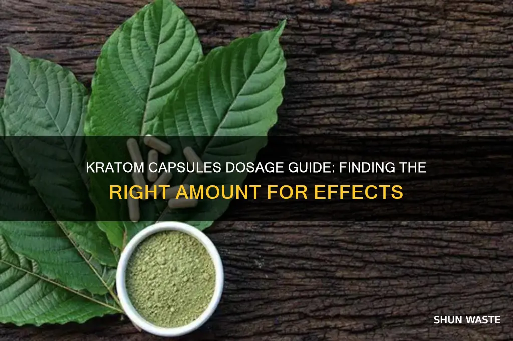 how many kratom capsules to get wasted