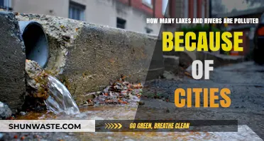 Lakes and Rivers: Polluted by Urbanization