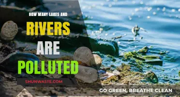 Lakes and Rivers: Polluted and at Risk