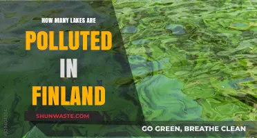 Lakes in Finland: Pollution Status and Facts