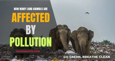 Land Animals: Pollution's Victims and Their Plight