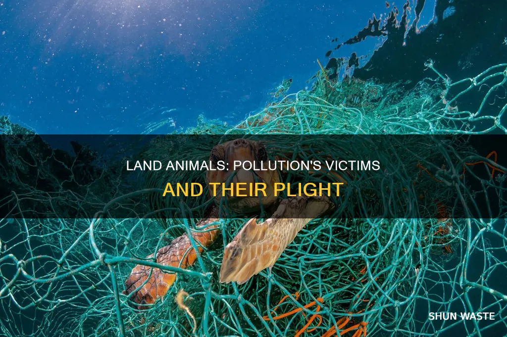 how many land animals are affected by pollution