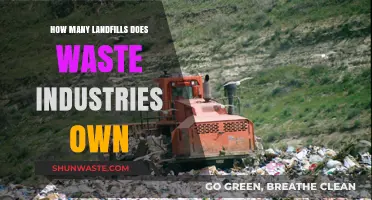 Waste Industries' Landfill Holdings: Uncovering Their Waste Management Empire
