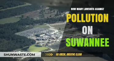 Legal Action Against Suwannee Polluters: Counting Lawsuits