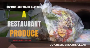Restaurant Organic Waste: Uncovering Pounds of Daily Food Scraps