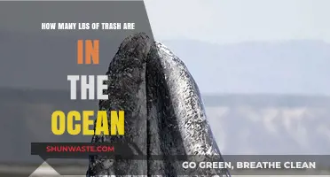 The Ocean's Trash Crisis: How Many Pounds?
