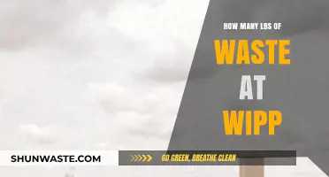 WIPP's Waste Disposal: Understanding the Pounds of Trash Accumulated