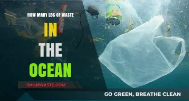 Ocean's Burden: Unveiling the Shocking Pounds of Marine Waste Crisis