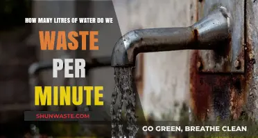 Every Minute Counts: Uncovering Our Daily Water Waste in Litres
