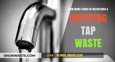 Dripping Tap Waste: How Many Litres Are Lost Daily?