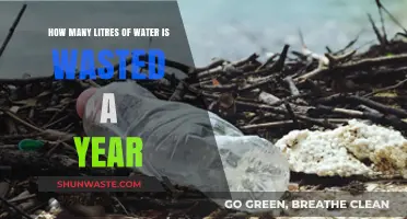 Annual Water Waste: Shocking Litres Lost and Solutions to Save