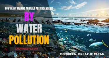 Ocean's Plight: The Devastating Impact of Pollution on Marine Life