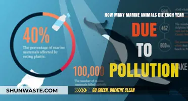 The Devastating Impact of Pollution on Marine Life