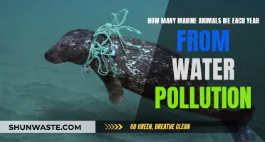 The Shocking Truth: Annual Marine Animal Deaths from Pollution