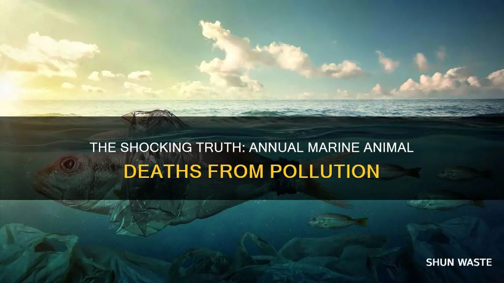 how many marine animals die each year from water pollution