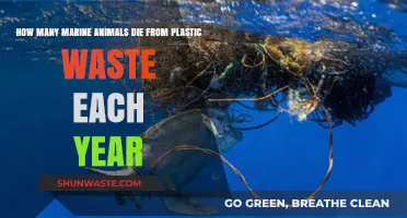 Plastic's Deadly Toll: Annual Marine Life Losses from Waste