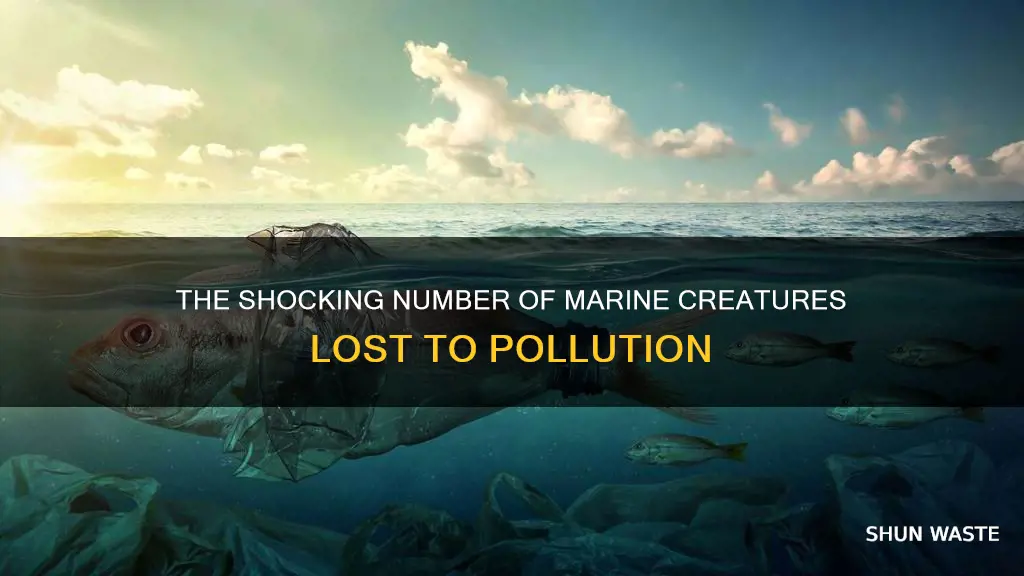 how many marine life are killed annually by water pollution