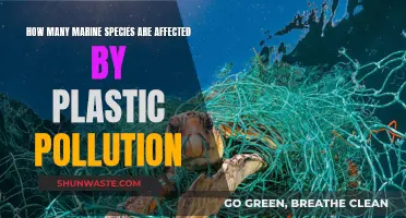 Plastic Pollution's Impact on Marine Life: Counting the Cost