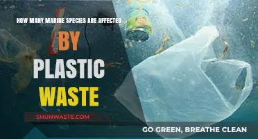 Plastic Waste's Devastating Impact on Marine Life: Species Affected