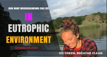 Microbial Boom: Exploring Life in Eutrophic Environments