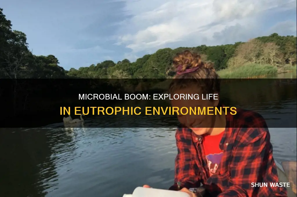 how many microorganisms can live in eutrophic environment