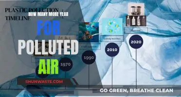 The Air We Breathe: A Looming Deadline for Change
