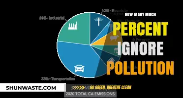 The Ignored Crisis: Pollution's Impact and Public Apathy