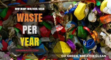 Annual Multicolored Solid Waste Generation: Understanding the Global Impact