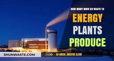 Waste-to-Energy Plants: Unlocking MWh Potential from Discarded Resources