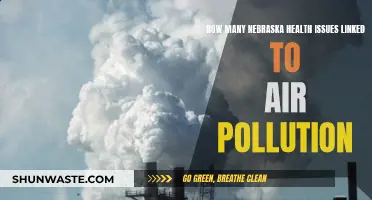Air Pollution's Impact on Nebraska's Health
