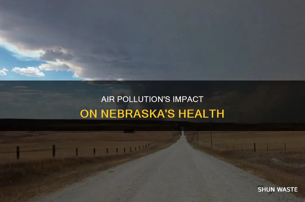 how many nebraska health issues linked to air pollution