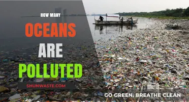 Polluted Oceans: Counting the Devastation