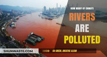 China's Rivers: Polluted and Counting