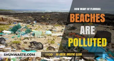 Florida's Polluted Beaches: An Environmental Crisis
