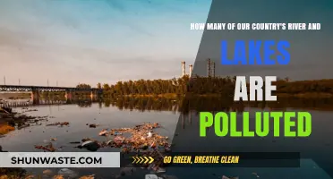Our Polluted Waters: A Country's Lakes and Rivers Crisis