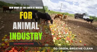 Earth's Wasted Land: The Animal Industry's Environmental Footprint